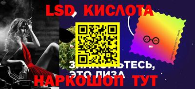 прущие грибы Дубна