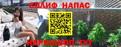 прущие грибы Дубна