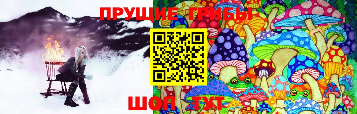 Галлюциногенные грибы Magic Shrooms  Галлюциногенные грибы Psilocybine cubensis  Вход с VPN  Калининград 